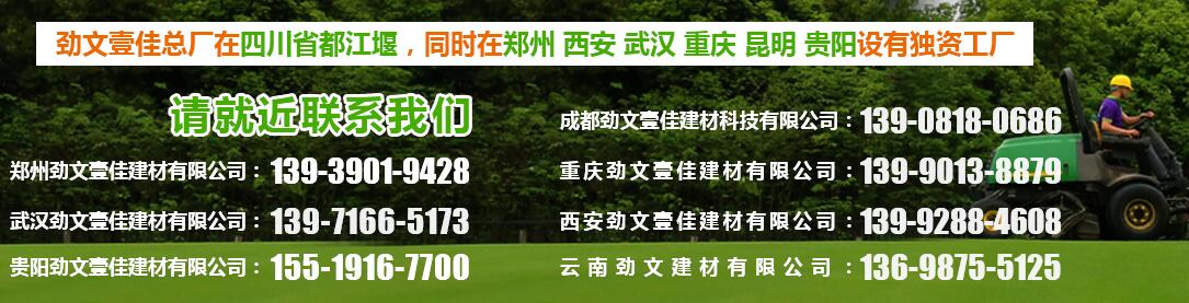 成都生态袋公司