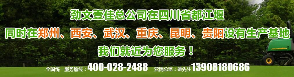 植草格铺装公司