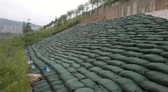 绵阳生态袋