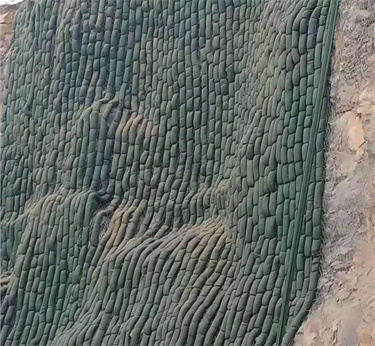 生态袋